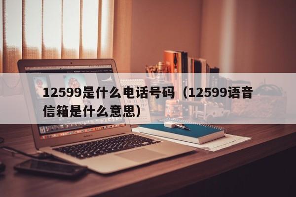 12599是什么电话号码（12599语音信箱是什么意思）