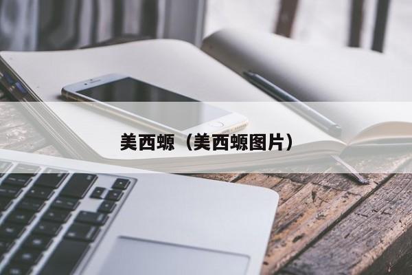 美西螈（美西螈图片）
