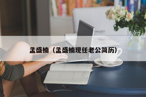 孟盛楠（孟盛楠现任老公简历）
