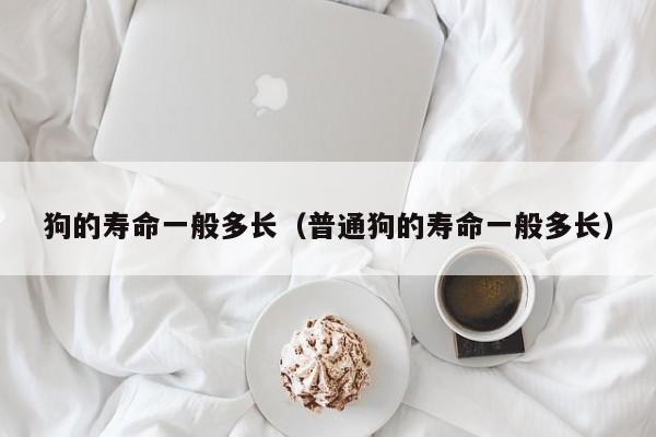 狗的寿命一般多长（普通狗的寿命一般多长）