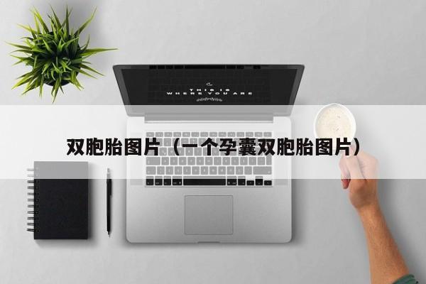 双胞胎图片（一个孕囊双胞胎图片）