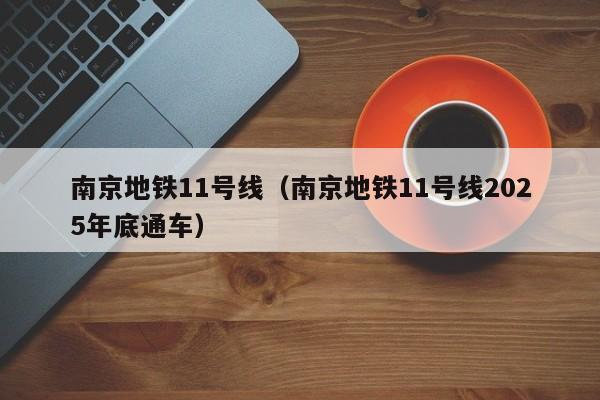 南京地铁11号线（南京地铁11号线2025年底通车）