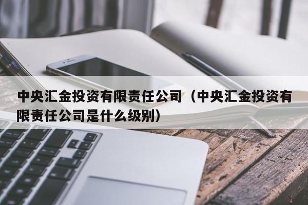 中央汇金投资有限责任公司（中央汇金投资有限责任公司是什么级别）