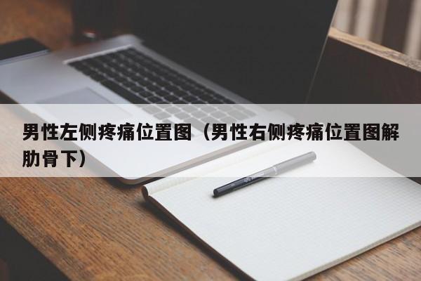 男性左侧疼痛位置图（男性右侧疼痛位置图解肋骨下）
