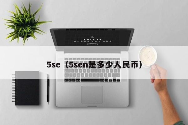 5se（5sen是多少人民币）
