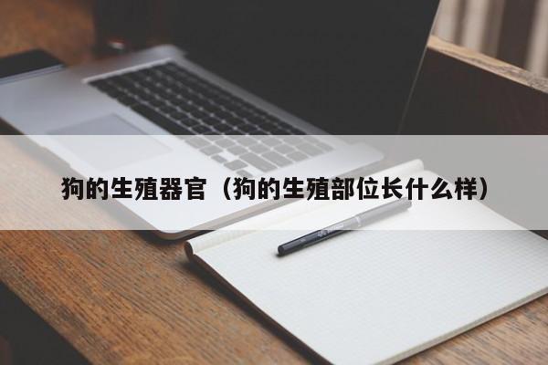 狗的生殖器官（狗的生殖部位长什么样）