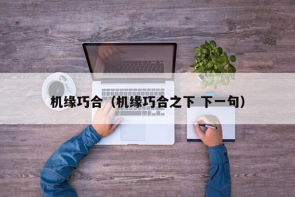 机缘巧合（机缘巧合之下 下一句）
