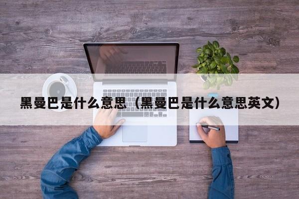 黑曼巴是什么意思（黑曼巴是什么意思英文）