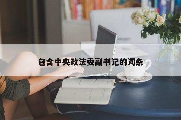 包含中央政法委副书记的词条