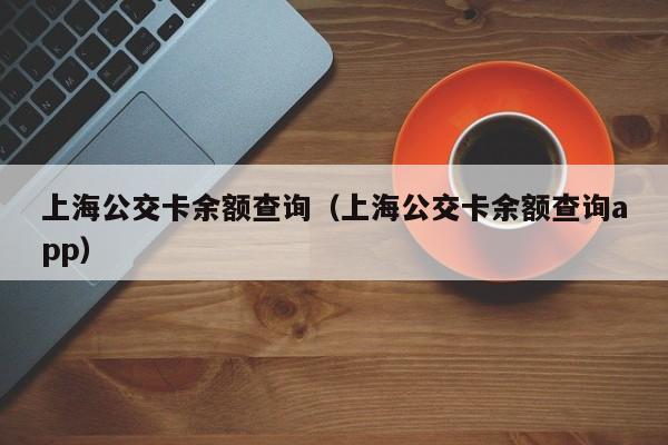 上海公交卡余额查询（上海公交卡余额查询app）