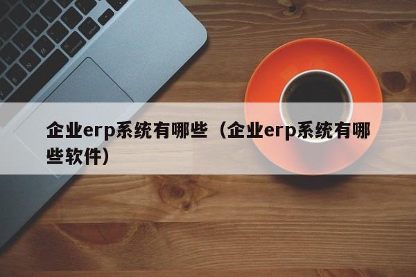 企业erp系统有哪些（企业erp系统有哪些软件）