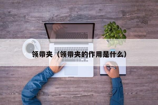 领带夹（领带夹的作用是什么）
