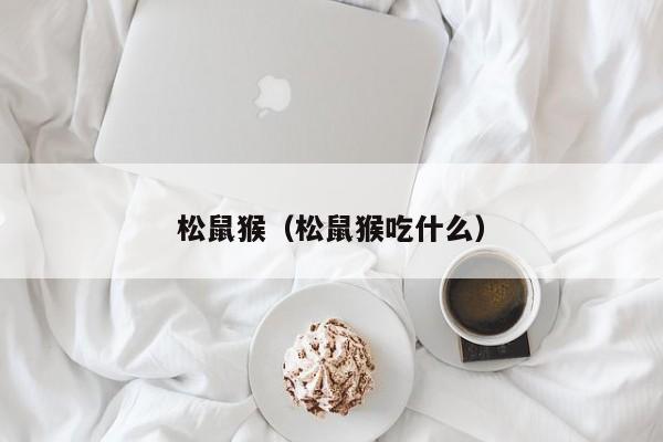 松鼠猴（松鼠猴吃什么）