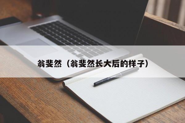 翁斐然（翁斐然长大后的样子）