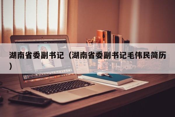 湖南省委副书记（湖南省委副书记毛伟民简历）