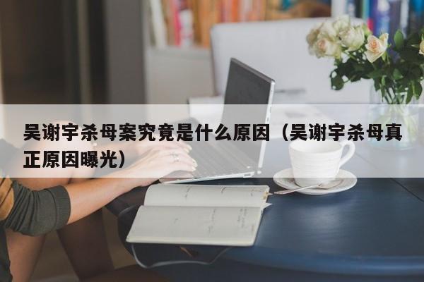 吴谢宇杀母案究竟是什么原因（吴谢宇杀母真正原因曝光）
