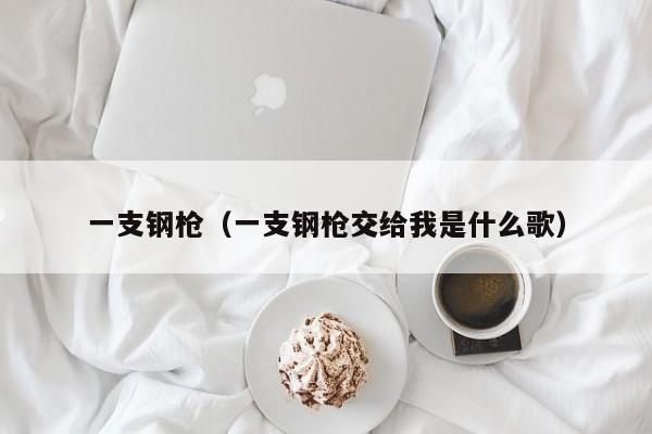 一支钢枪（一支钢枪交给我是什么歌）