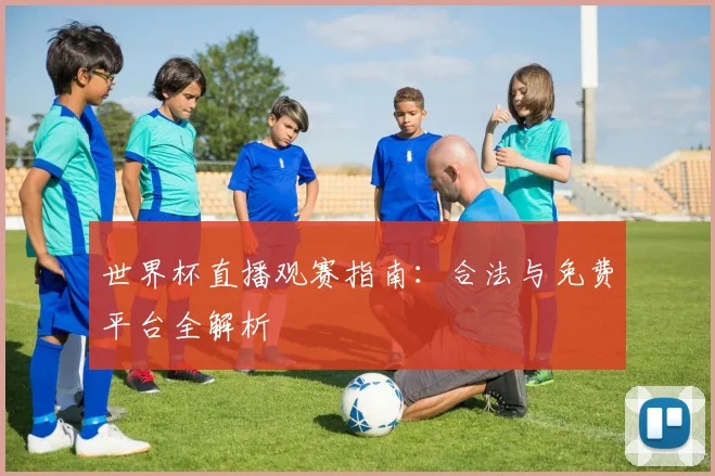 世界杯直播观赛指南：合法与免费平台全解析