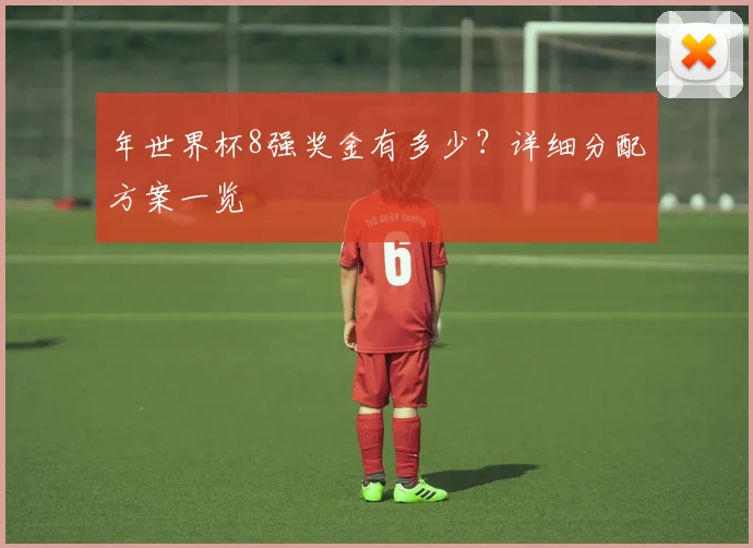 年世界杯8强奖金有多少？详细分配方案一览