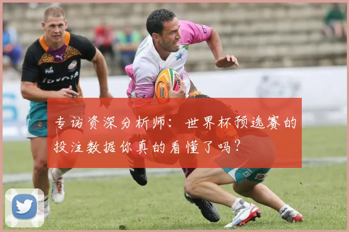 专访资深分析师：世界杯预选赛的投注数据你真的看懂了吗？