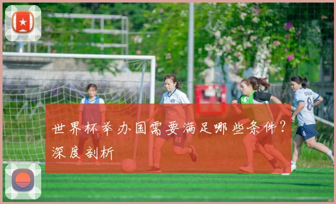 世界杯举办国需要满足哪些条件？深度剖析