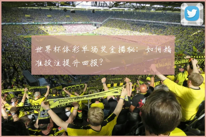 世界杯体彩单场奖金揭秘:如何精准投注提升回报?