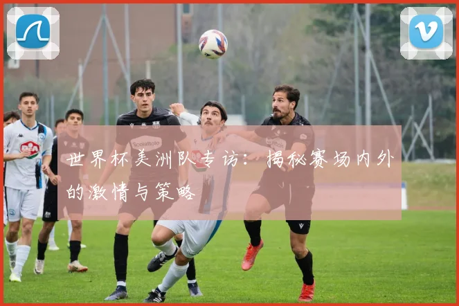 世界杯美洲队专访:揭秘赛场内外的激情与策略