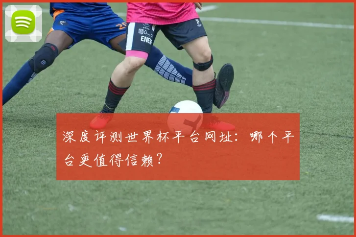 深度评测世界杯平台网址:哪个平台更值得信赖?