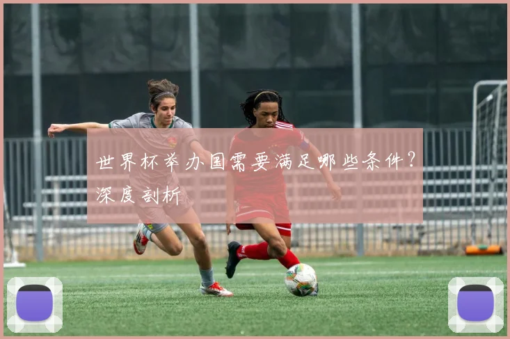 世界杯举办国需要满足哪些条件？深度剖析