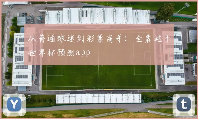 从普通球迷到彩票高手:全靠这个世界杯预测app