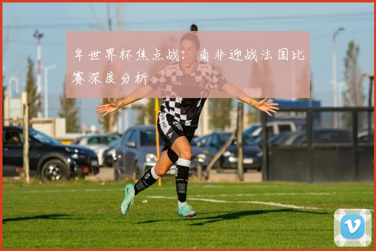 年世界杯焦点战：南非迎战法国比赛深度分析