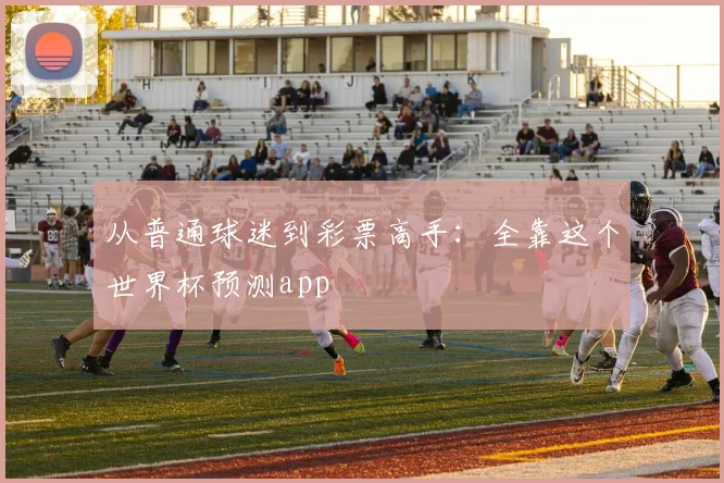从普通球迷到彩票高手：全靠这个世界杯预测app