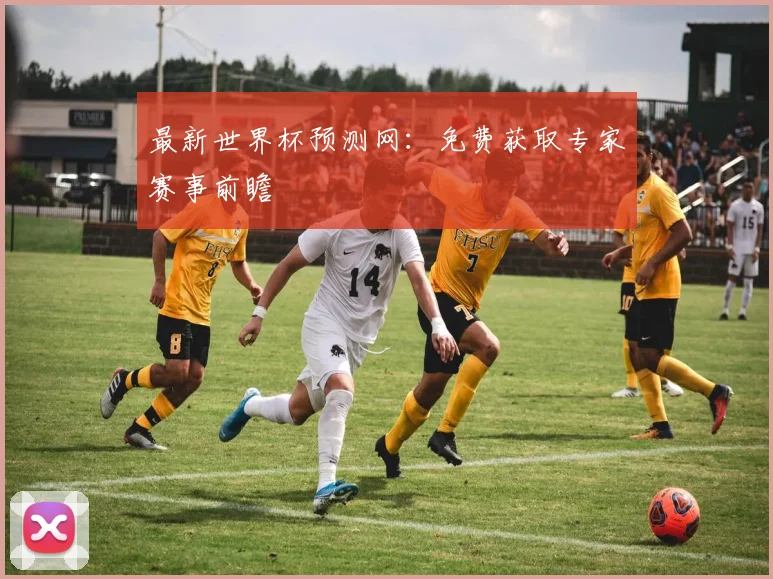 最新世界杯预测网：免费获取专家赛事前瞻