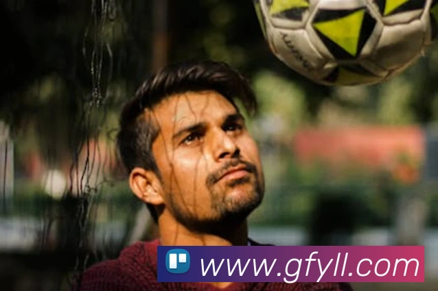 开云手机入口登录官网发展历程