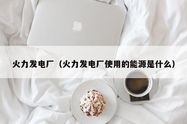 火力发电厂（火力发电厂使用的能源是什么）