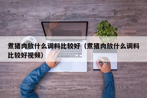 煮猪肉放什么调料比较好（煮猪肉放什么调料比较好视频）