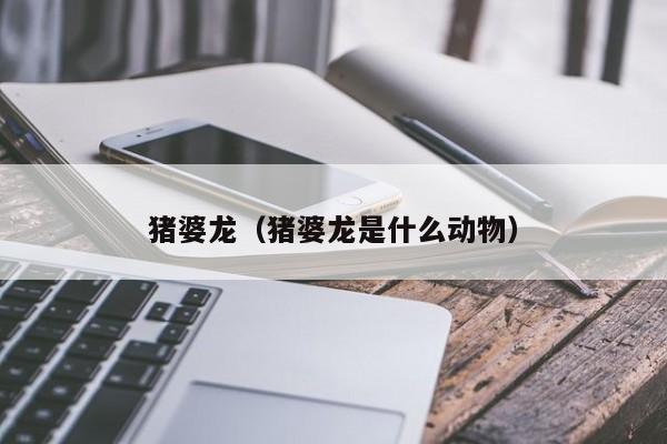 猪婆龙（猪婆龙是什么动物）