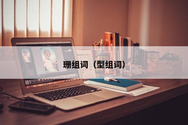 珊组词（型组词）