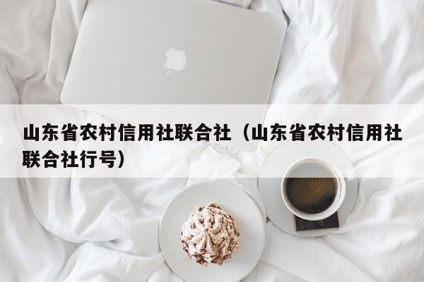 山东省农村信用社联合社（山东省农村信用社联合社行号）