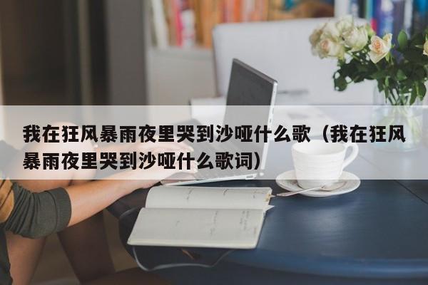 我在狂风暴雨夜里哭到沙哑什么歌（我在狂风暴雨夜里哭到沙哑什么歌词）