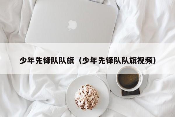 少年先锋队队旗（少年先锋队队旗视频）