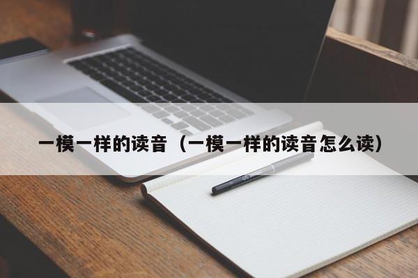 一模一样的读音（一模一样的读音怎么读）