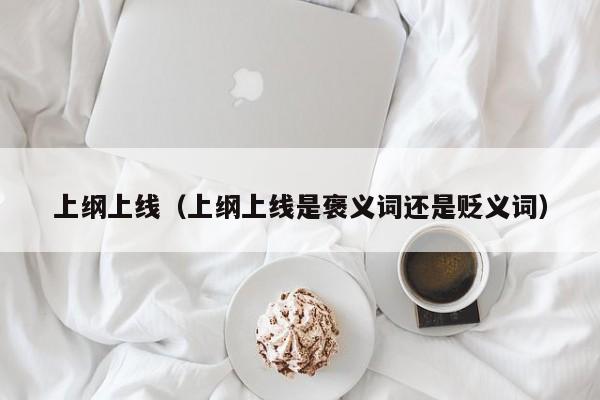 上纲上线（上纲上线是褒义词还是贬义词）