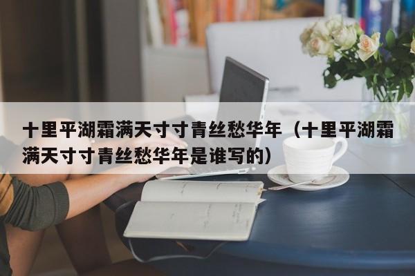 十里平湖霜满天寸寸青丝愁华年（十里平湖霜满天寸寸青丝愁华年是谁写的）