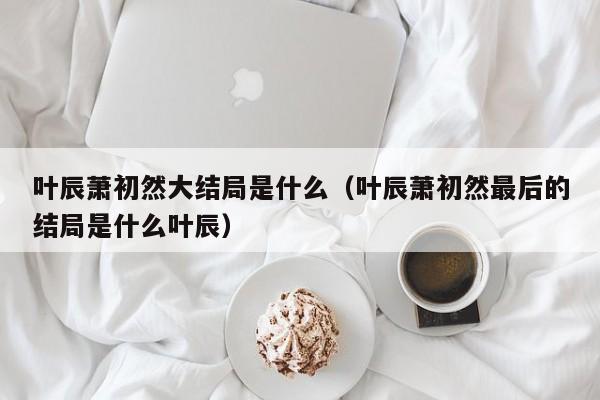 叶辰萧初然大结局是什么（叶辰萧初然最后的结局是什么叶辰）