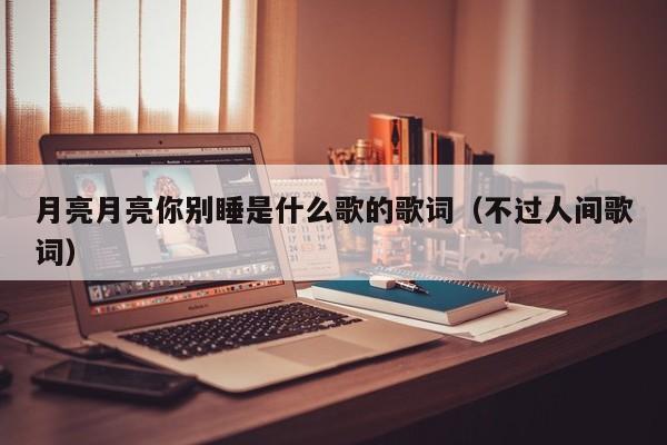 月亮月亮你别睡是什么歌的歌词（不过人间歌词）