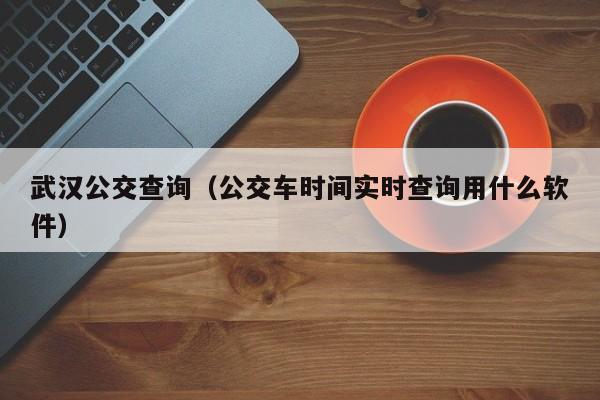 武汉公交查询（公交车时间实时查询用什么软件）