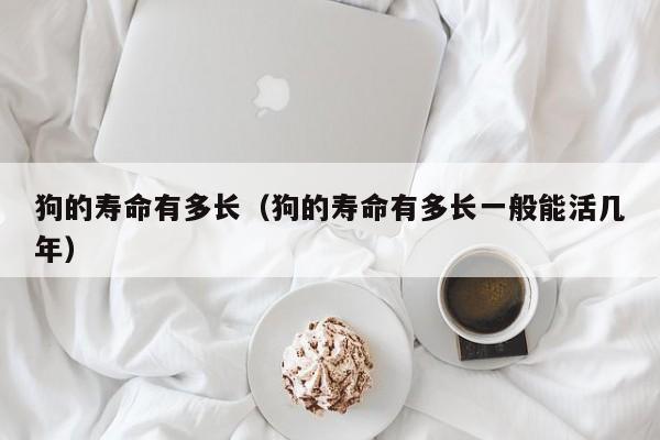 狗的寿命有多长（狗的寿命有多长一般能活几年）