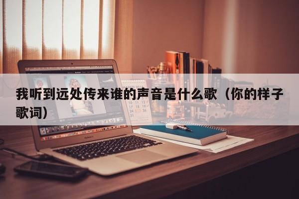 我听到远处传来谁的声音是什么歌（你的样子歌词）