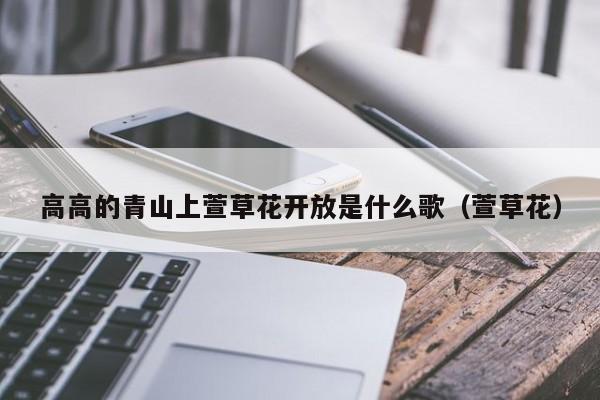高高的青山上萱草花开放是什么歌（萱草花）